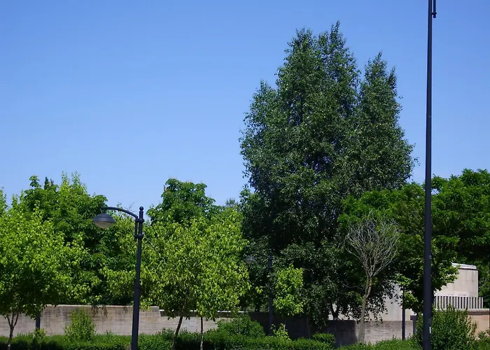 Hotel familiar: Hotel Nobis Salamanca